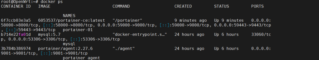 检查容器运行状态