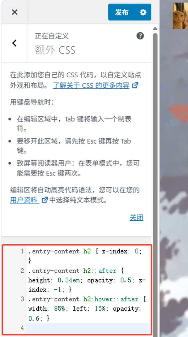 WordPress 后台额外 CSS 输入框里填好的四条规则