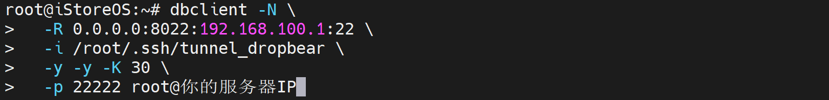 在家庭路由器上执行 dbclient 反向隧道命令的终端截图,转发目标指向 192.168.100.1:22