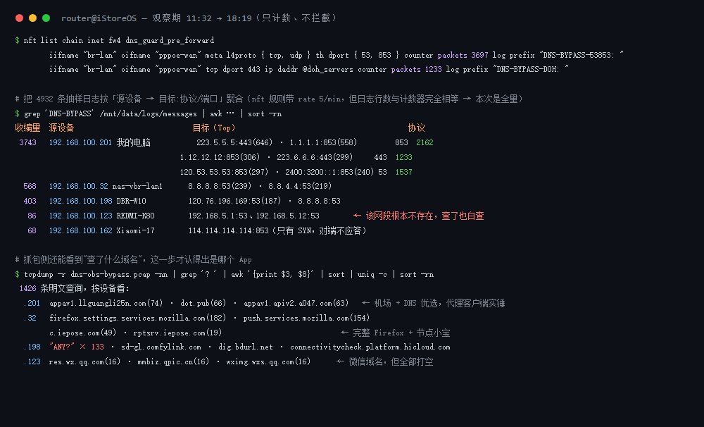 iStoreOS 软路由 DNS 绕过观察期统计:4 台设备的绕过量级、目标 DNS 服务器与域名证据